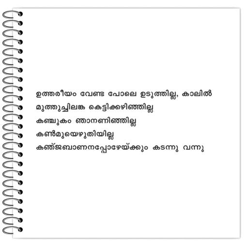 Picture of the product