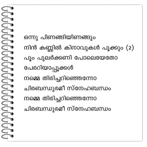 Picture of the product