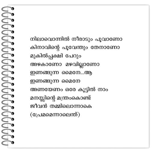 Picture of the product