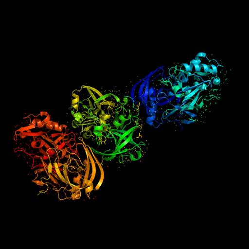 Picture of the product