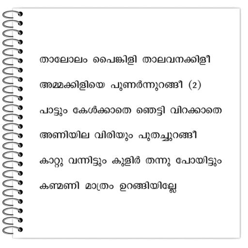 Picture of the product