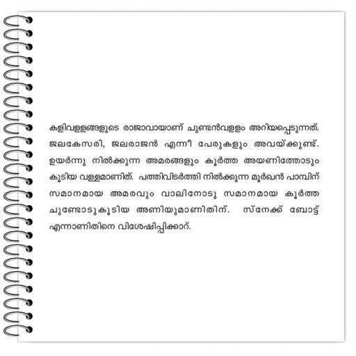 Picture of the product