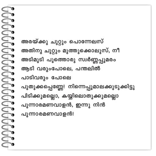 Picture of the product