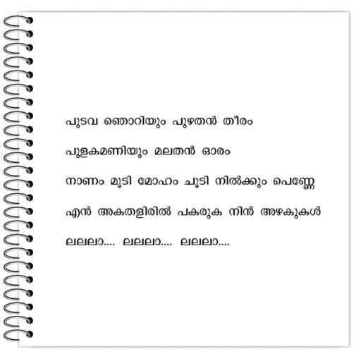 Picture of the product