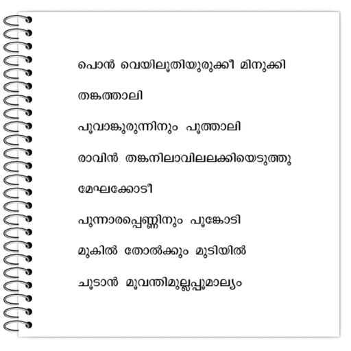 Picture of the product