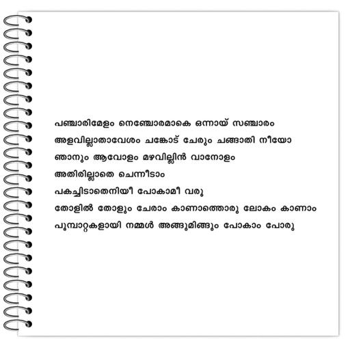 Picture of the product