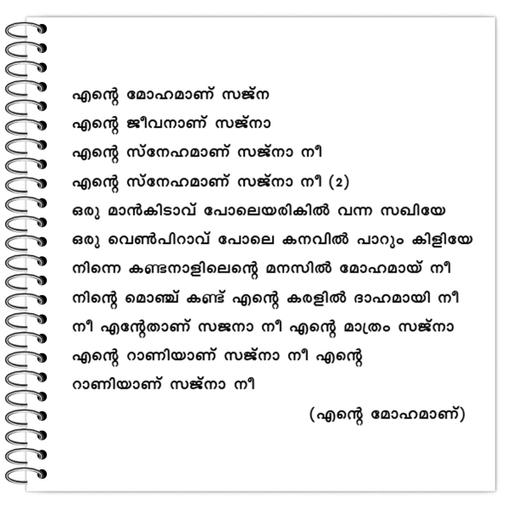 Picture of the product