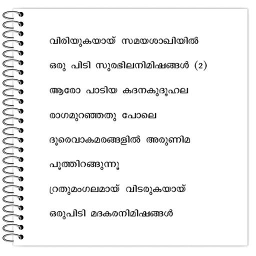 Picture of the product