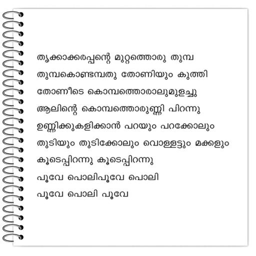 Picture of the product