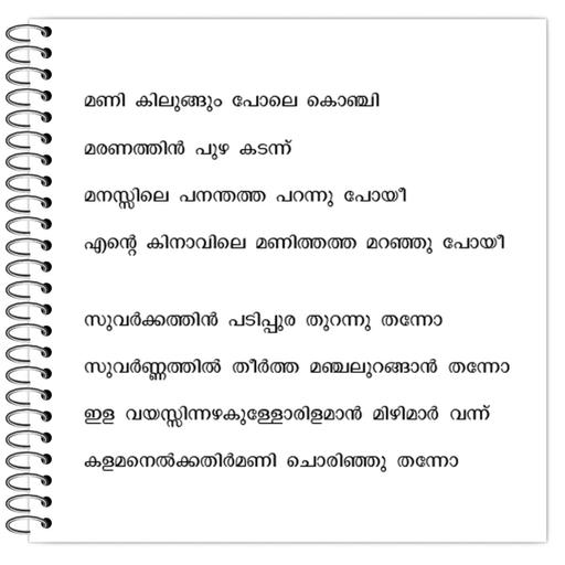 Picture of the product