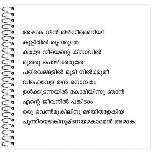 Picture of the product