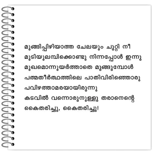 Picture of the product