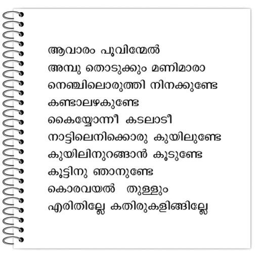 Picture of the product