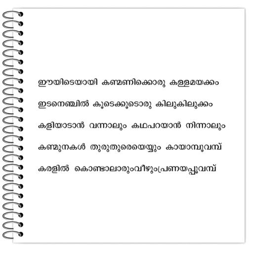 Picture of the product