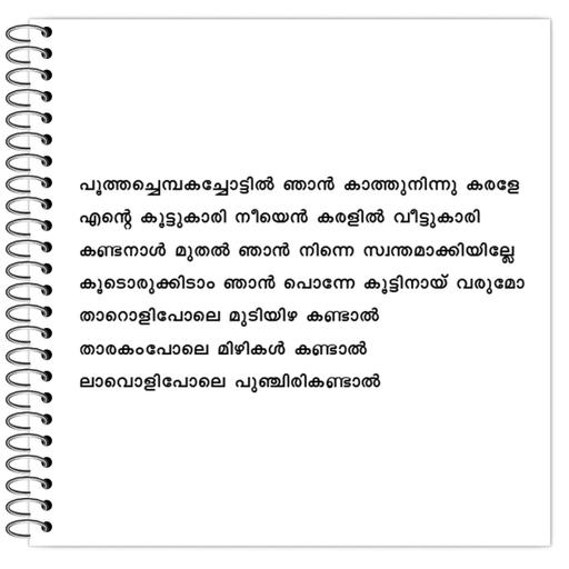 Picture of the product