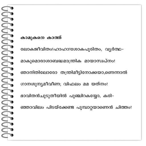 Picture of the product