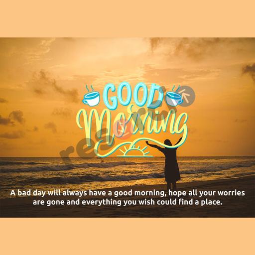 Picture of the product