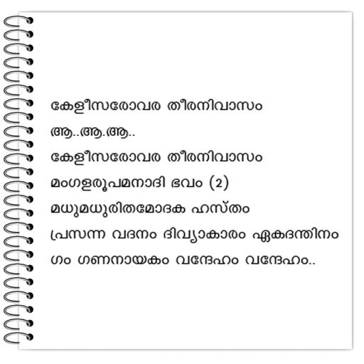 Picture of the product