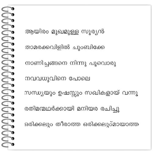 Picture of the product