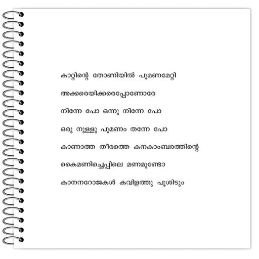 Picture of the product