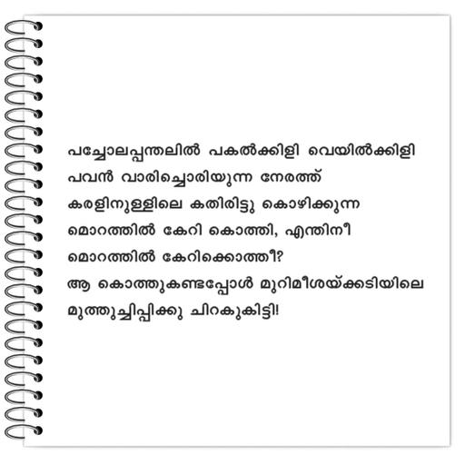 Picture of the product