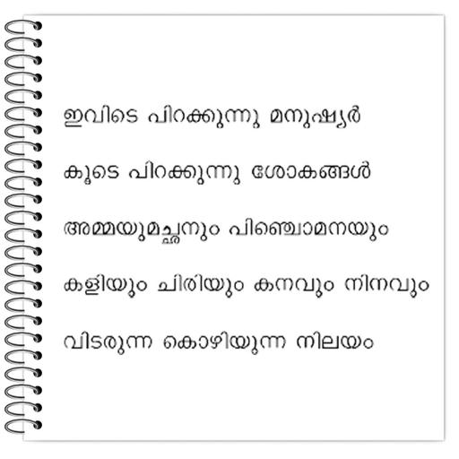 Picture of the product