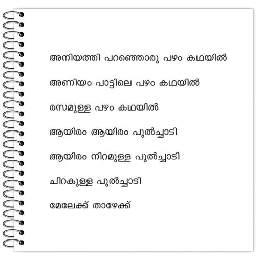 Picture of the product