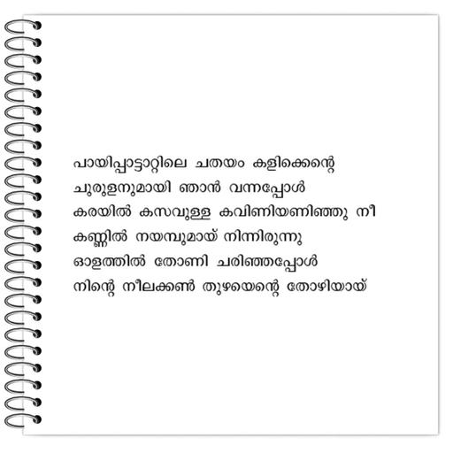 Picture of the product