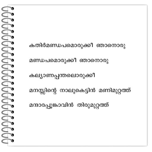 Picture of the product