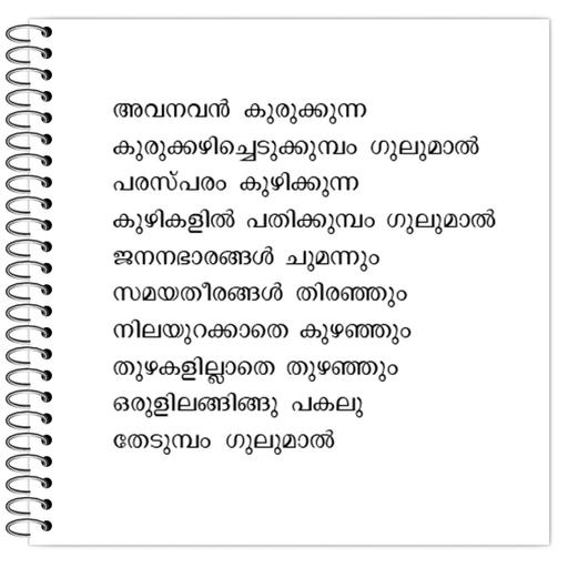 Picture of the product