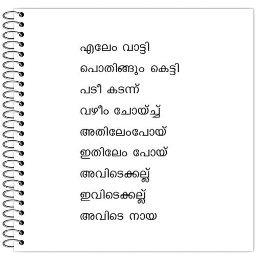 Picture of the product