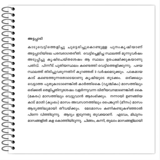 Picture of the product