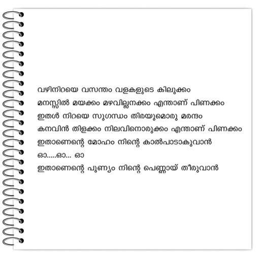 Picture of the product