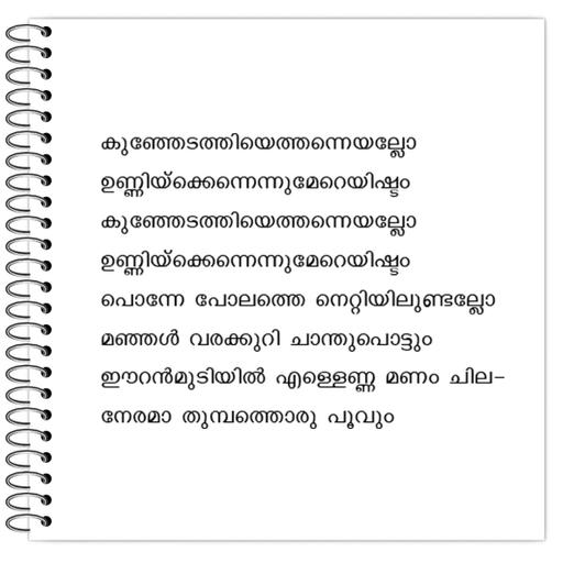 Picture of the product