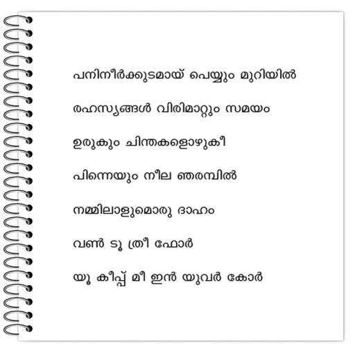 Picture of the product