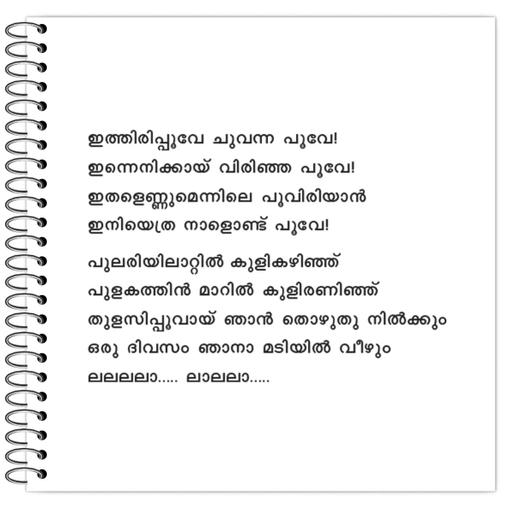 Picture of the product