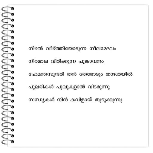 Picture of the product