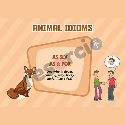 Picture of the product