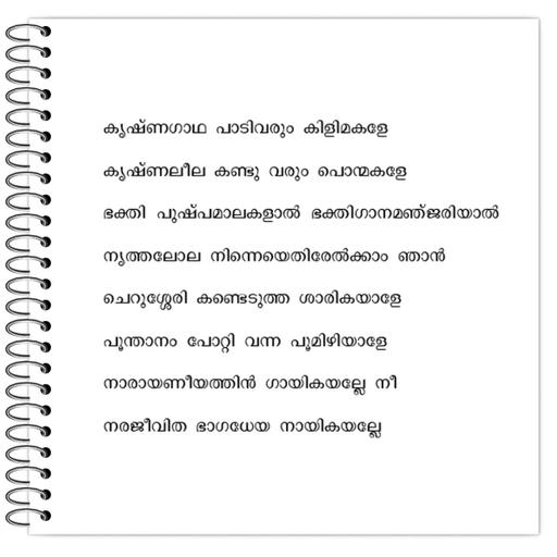 Picture of the product