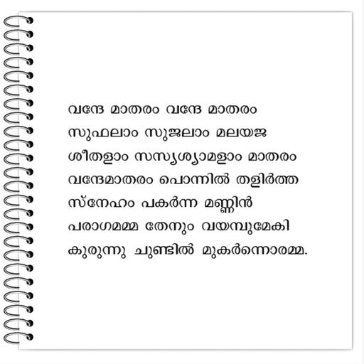 Picture of the product