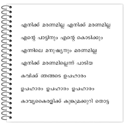 Picture of the product