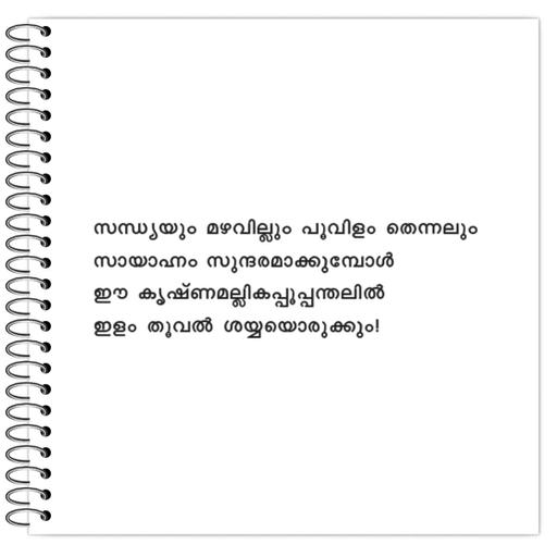 Picture of the product