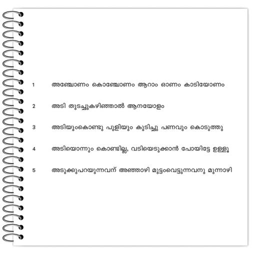 Picture of the product