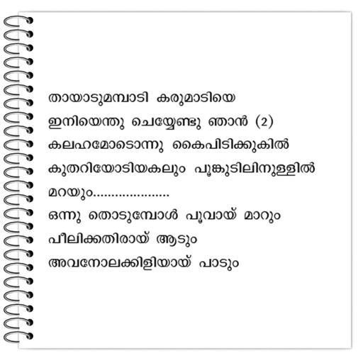 Picture of the product