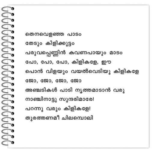 Picture of the product