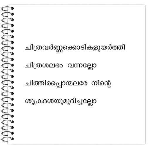 Picture of the product