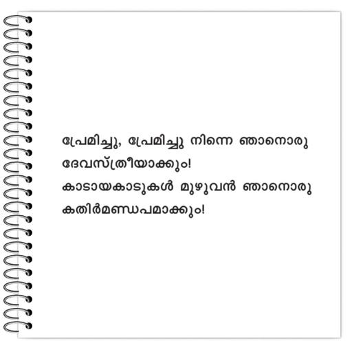 Picture of the product