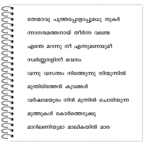 Picture of the product