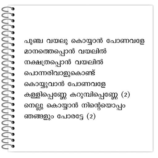 Picture of the product