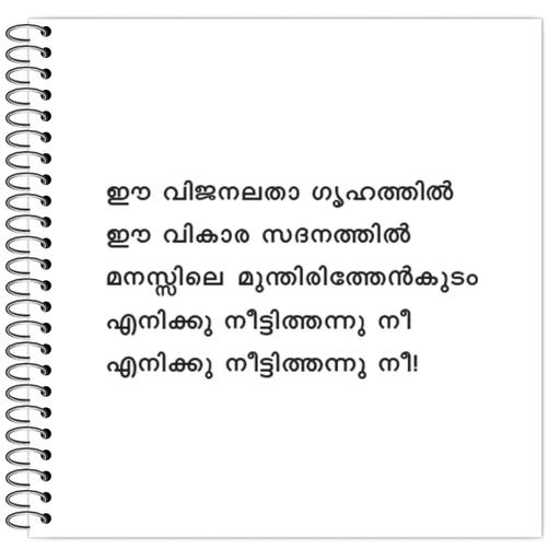 Picture of the product